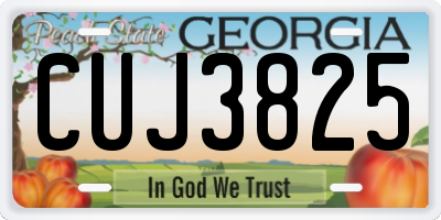 GA license plate CUJ3825