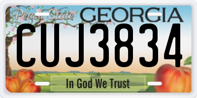 GA license plate CUJ3834