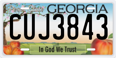 GA license plate CUJ3843