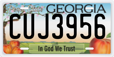 GA license plate CUJ3956