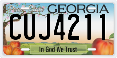GA license plate CUJ4211
