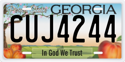 GA license plate CUJ4244