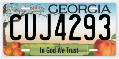 GA license plate CUJ4293