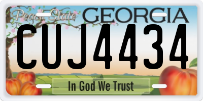 GA license plate CUJ4434
