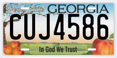GA license plate CUJ4586