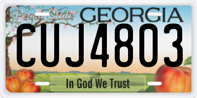 GA license plate CUJ4803