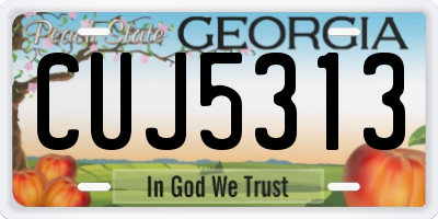 GA license plate CUJ5313