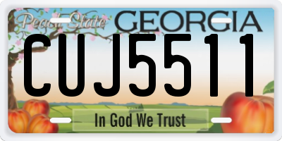 GA license plate CUJ5511