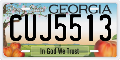 GA license plate CUJ5513