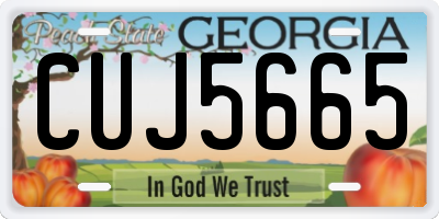 GA license plate CUJ5665