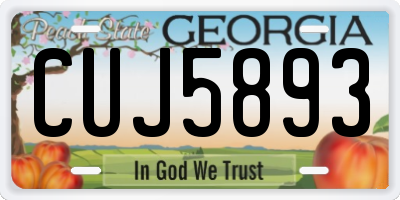 GA license plate CUJ5893
