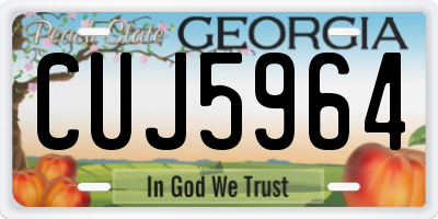 GA license plate CUJ5964