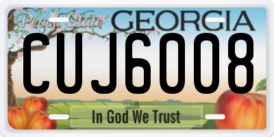 GA license plate CUJ6008