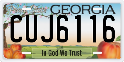 GA license plate CUJ6116