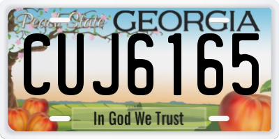 GA license plate CUJ6165