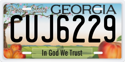 GA license plate CUJ6229