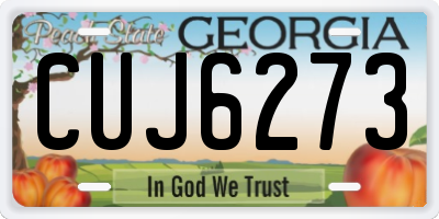 GA license plate CUJ6273