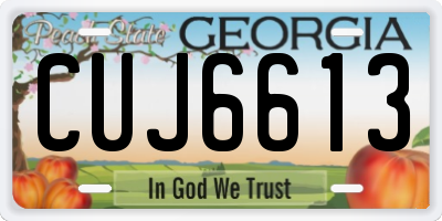 GA license plate CUJ6613