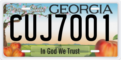 GA license plate CUJ7001