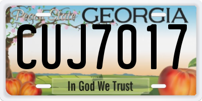 GA license plate CUJ7017