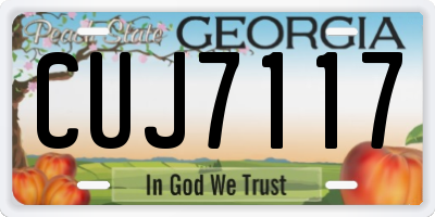 GA license plate CUJ7117