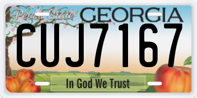 GA license plate CUJ7167