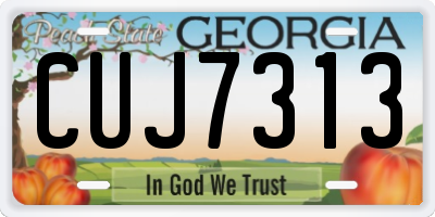 GA license plate CUJ7313
