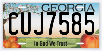 GA license plate CUJ7585