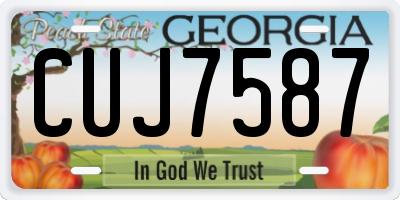 GA license plate CUJ7587