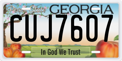 GA license plate CUJ7607