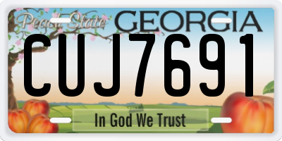 GA license plate CUJ7691