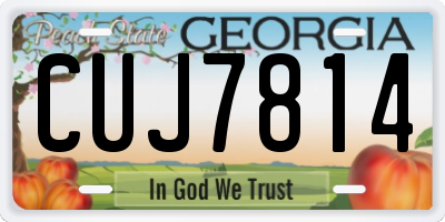 GA license plate CUJ7814