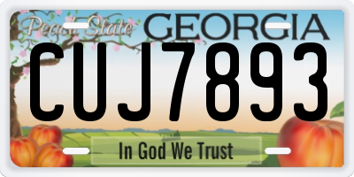 GA license plate CUJ7893