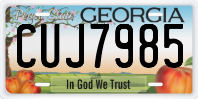 GA license plate CUJ7985
