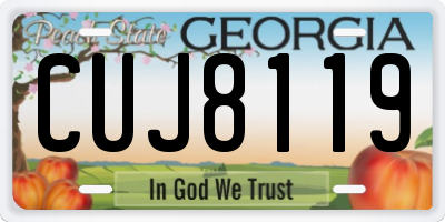 GA license plate CUJ8119