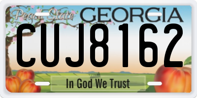 GA license plate CUJ8162
