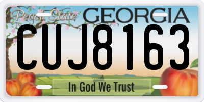 GA license plate CUJ8163
