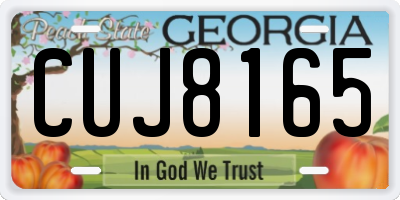 GA license plate CUJ8165