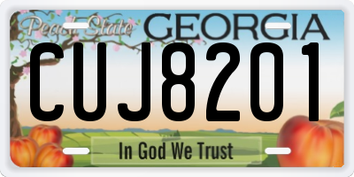 GA license plate CUJ8201