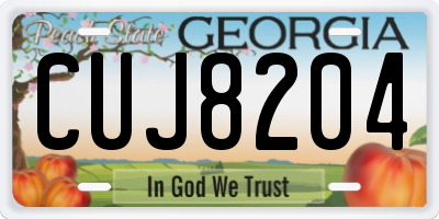 GA license plate CUJ8204