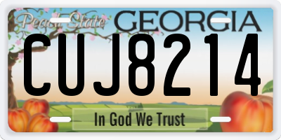 GA license plate CUJ8214
