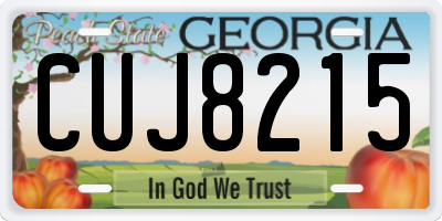 GA license plate CUJ8215