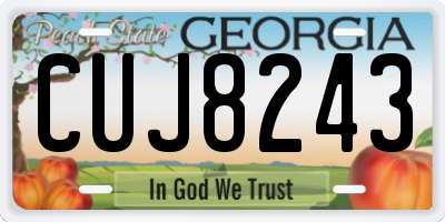 GA license plate CUJ8243