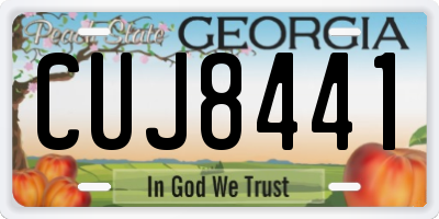 GA license plate CUJ8441