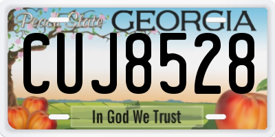 GA license plate CUJ8528
