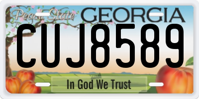 GA license plate CUJ8589