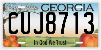 GA license plate CUJ8713