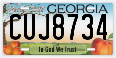GA license plate CUJ8734
