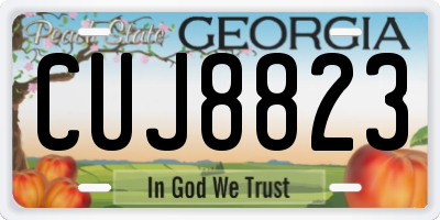 GA license plate CUJ8823