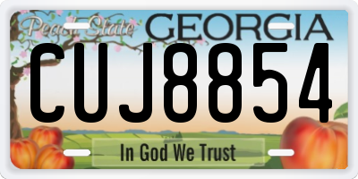 GA license plate CUJ8854